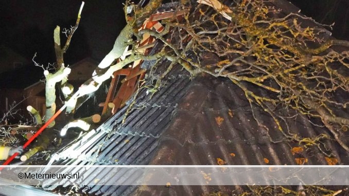 boom op woning Dedemsvaart2