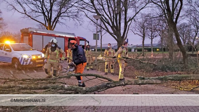boom over de weg in Assen