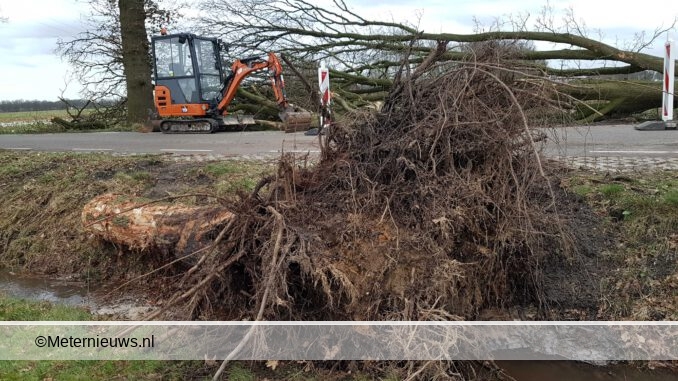 boom otworteld geen drinkwater Alteveer5