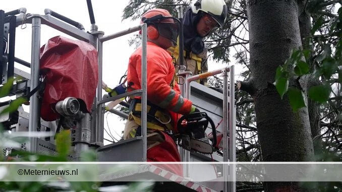 brandweer topt boom in Coevorden4