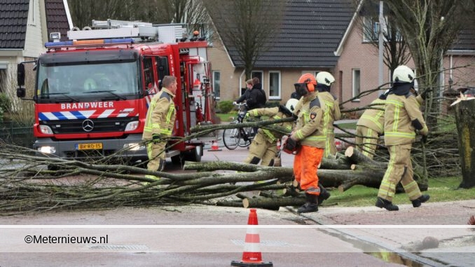 stormschadeschoonebeek18022022