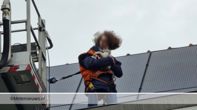 brandweer haalt poes van dak in Groningen