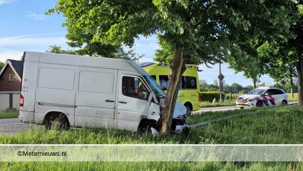 bedrijfsbusje tegen boom in Noordscheschut