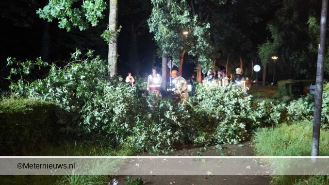 boom over fiestpad en rijbaan Midlaren