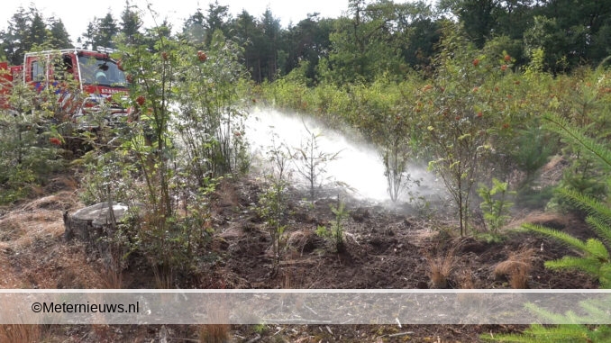 brandbosbrand stegeren