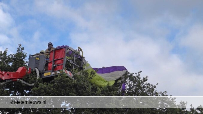 paraglider de boom in Kloosterhaar