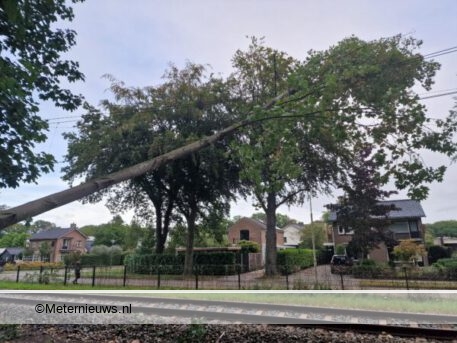 boom waait op bovenleiding spoor in Emmen