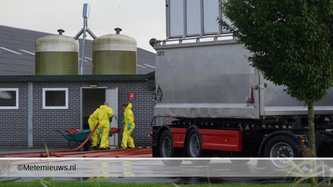 ruimingkippenvogelgriepNieuwweerdinge2