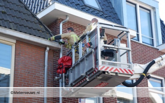 brandweer bevrijd duif op dak Coevorden