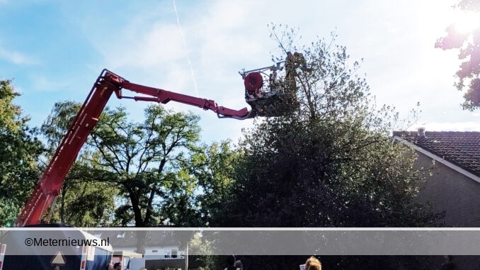 jongen uit top van boom gehaald Emmen
