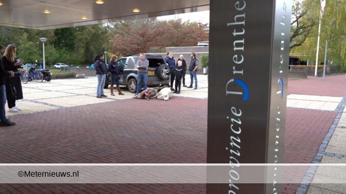 Door wolf doogebeten schapen voor provinciehuis Assen0