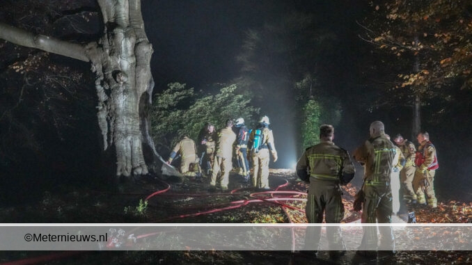 eeuwen oude boom in de brand Paterswolde