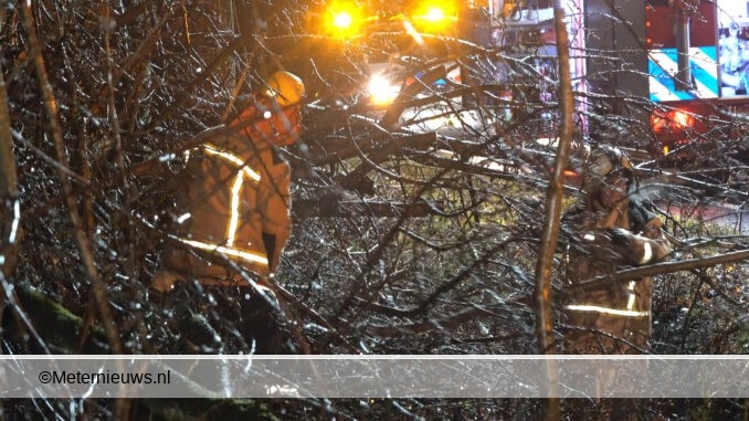 Boom valt in Papenvoort0