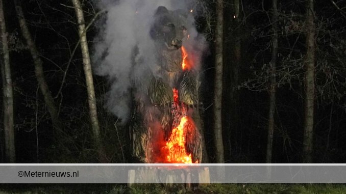 beer in brand in Assen