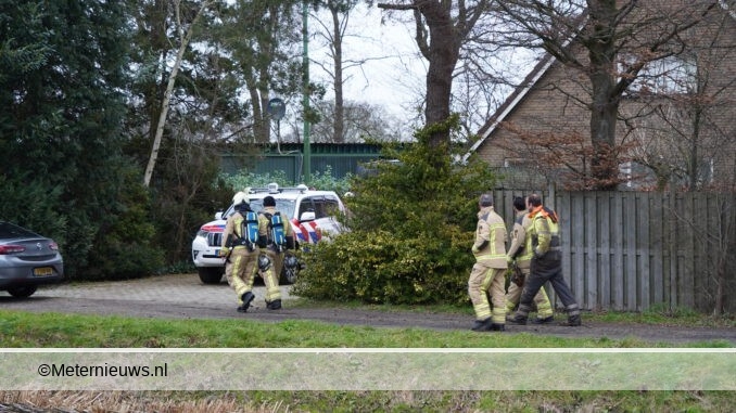 hennepkwekerij in Coevorden