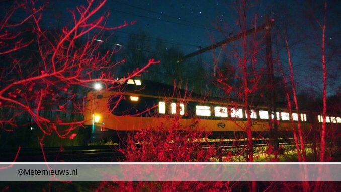 trein rijdt hert aan Tynaarlo1