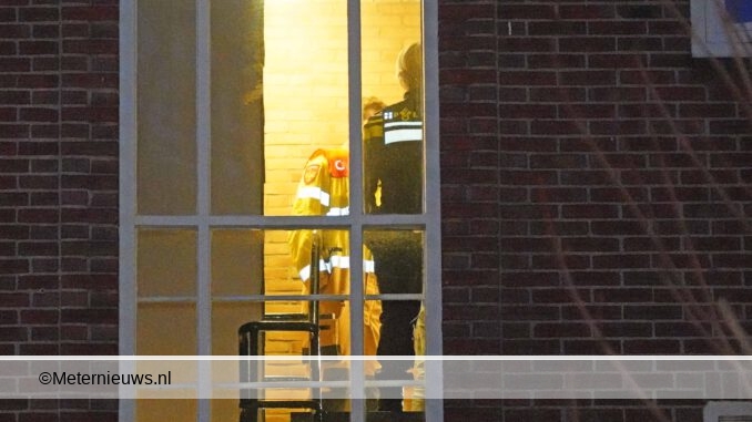 hennep kwekerij in Groningen