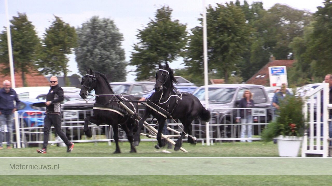 Ongeluk Hynstekeuring in Friese Blauwhuis: koets slaat om, paarden op hol.