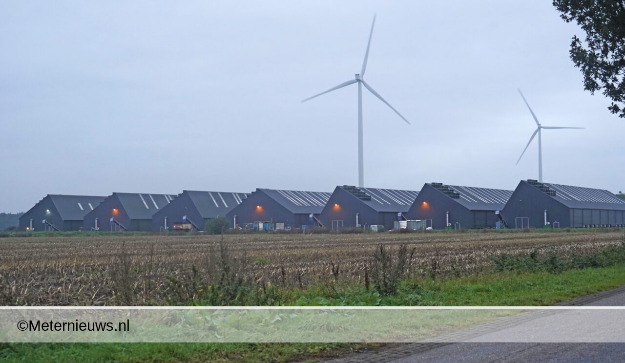 Vogelgriep in Gasselternijveen |