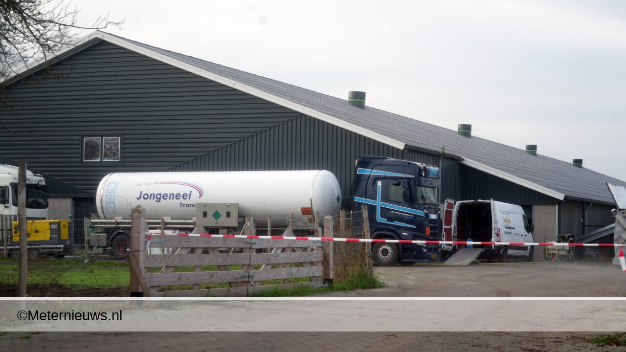23000 kippen geruimd wegens vogelgriep in Dalen(Video)